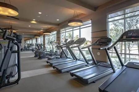 Paradise Cozysuites Under The Palms W Jacuzzi 19 * Phoenix